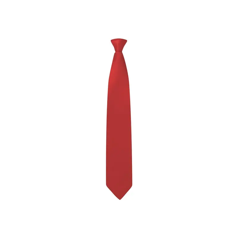 Clip-On Tie 