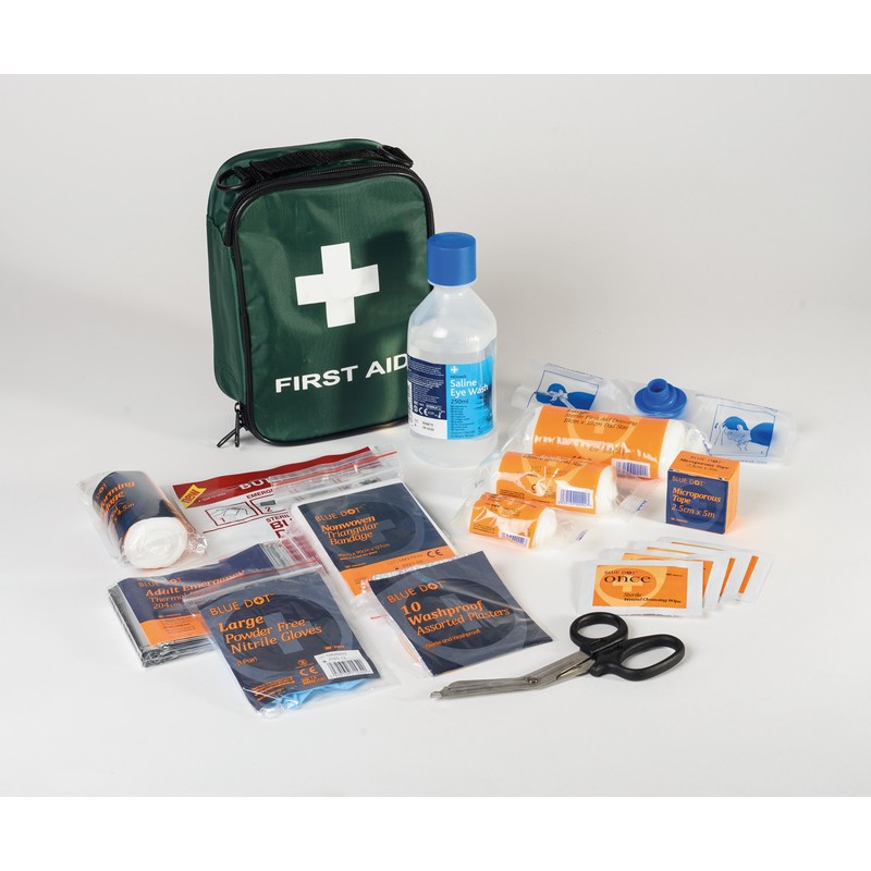 BSI Travel First Aid Kit (2011 version)