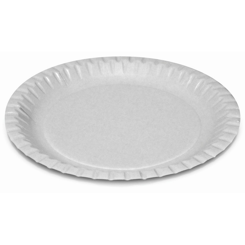 Disposable Plate (Pack of 500)