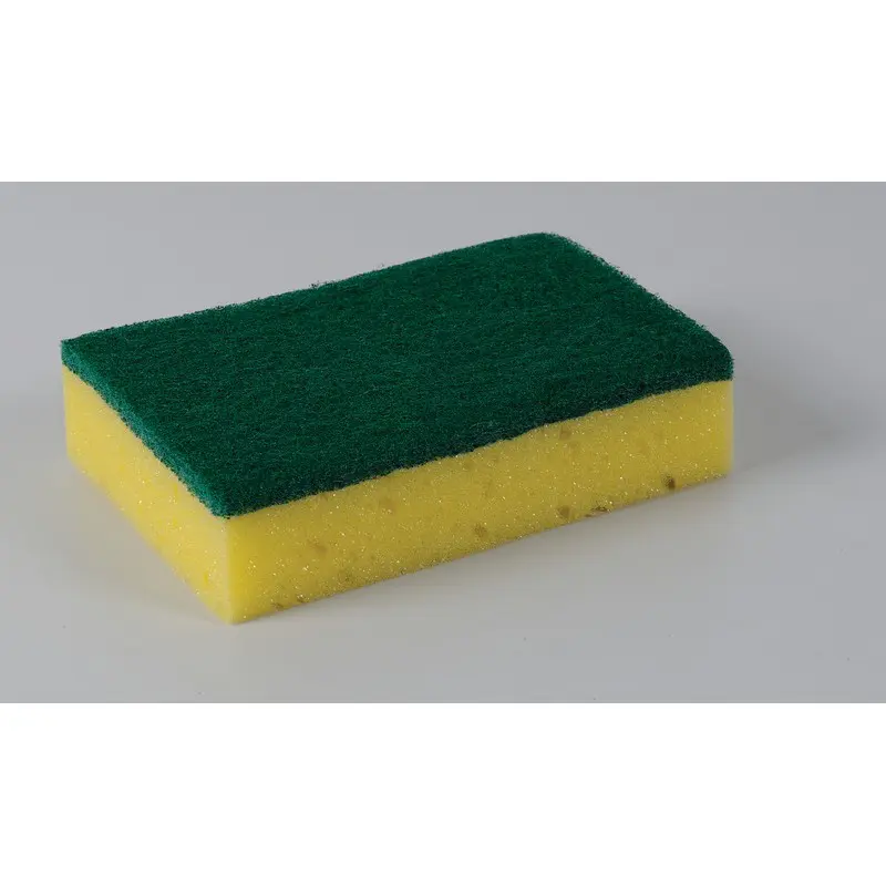 Spongeback Scourers