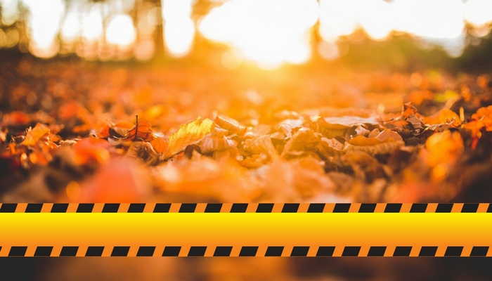 Autumn Health & Safety Check: Is Your Team Prepared?